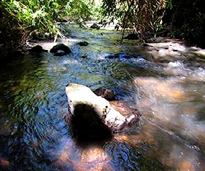 Parcela de agrado con estero en medio de bosque