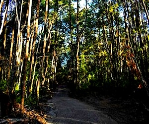 Parcela camino al volcan km 7