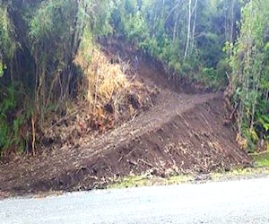 Parcela una Hectárea