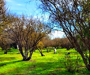 Parcela CERROS DE CULIPRAN Melipilla