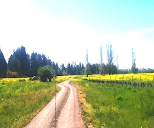 Parcelas Vínculo, Paine