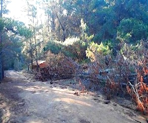 Terreno de 2300 mt2 Laguna Verde Valparaíso