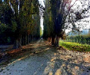 Hermoso terreno 3,5 ha Isla de Maipo