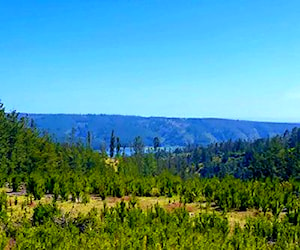 SITIO Pañul - Localidad de Pichilemu - Libe&#8230;