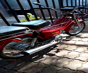 Moto yingang