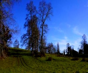 Sitio/Terreno los maitenes Puerto Varas