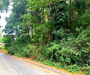 SITIO Paño de 3 sitios en inmejorable ubicació