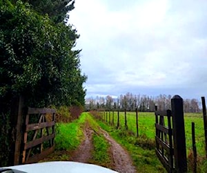 Bellas parcelas a 30 km de villarrica