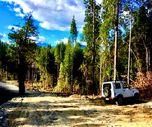 Parcela camino a Laguna Sargazo