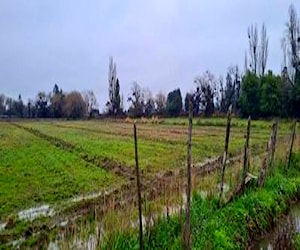 Terreno Agrícola de 1.9 Hect