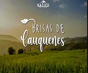 Parcelas en cauquenes Brisas de cauquenes el Maule