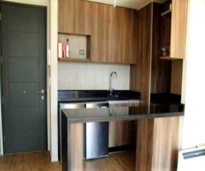 Departamento 1 dormitorio en suite con bodega