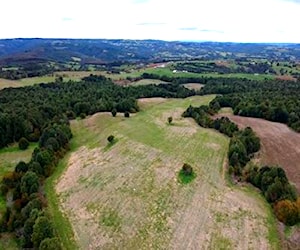 Se Vende Campo agricola