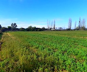 TERRENO CONSTRUCCION 20 minutos de Talca Talca