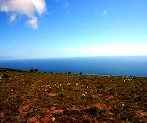 Agricola TERRENO EN TALINAY