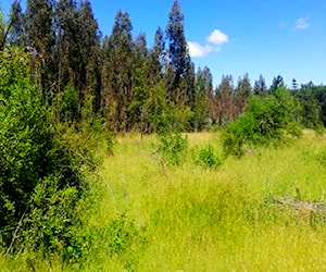 Terreno de 5000 mts