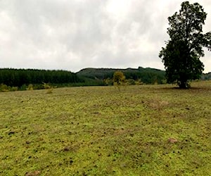 Parcelas de 5.000 mts2 en Región del Maule