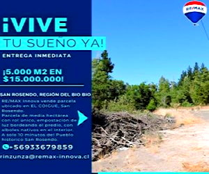 Se Vende Parcela de 5000 m2 en San Rosendo