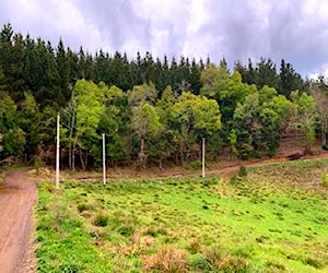 Parcela Pumalal Temuco