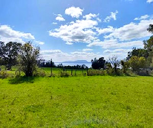 Parcela con vista al lago