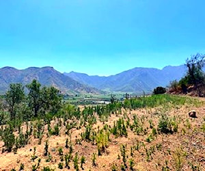 Terreno 5000 m2 con vista al valle río Aconcagua