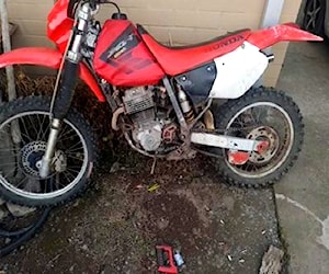 Xr 250