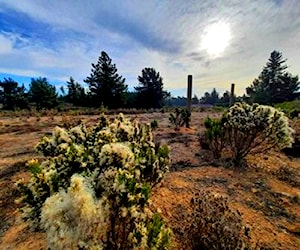 Parcela en Algarrobo Condominio Los Pinares Norte