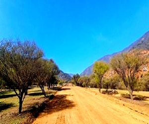 Parcelas en Quillota, Cajón San Pedro