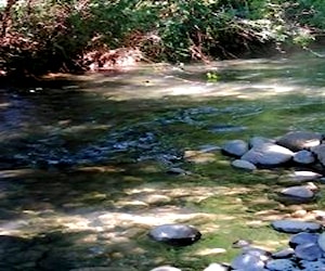 Parcela camino al embalse ancoa linares 