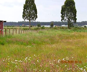 Vendo en Frutillar 5000 m2, con luz y agua