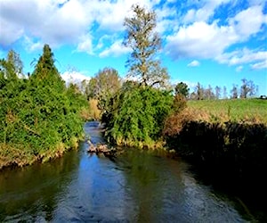 PARCELA T933 Río Bueno Los Ríos Río Bueno