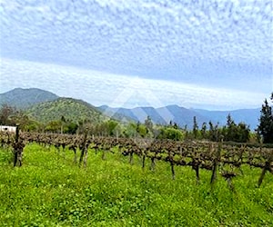 Parcela Zuñiga Isla De Maipo