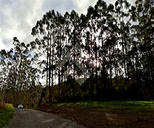 Parcela al Oeste de Nueva Braunau Puerto Varas