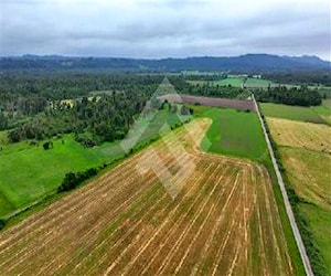 Agricola Puerto Nuevo Lago Ranco La UnióN