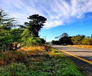 Loteo a orillas de carretera a solo1 km Villarrica