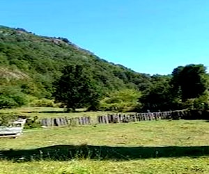 Campo cercano a termas de Río Blanco, Pucón