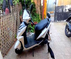 Moto electrica