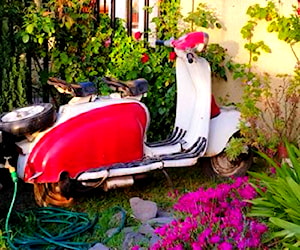 Lambretta