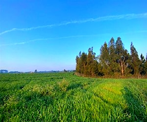 PARCELA a 45 km de Santa Isabel Fundo el Carmen Te