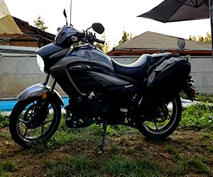 Suzuki intruder