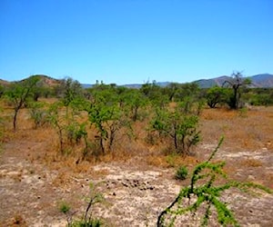 Cuatro hectareas semi plano en cerro melipilla