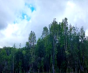 Terreno en Quemchi