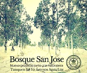 Bosque San Jose Tunquen