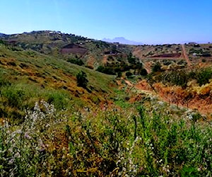 Sitio el manzanar parcela El Manzanar Rautén Val