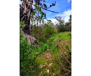  campo en melipilla, codigua.