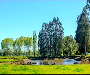 Parcela 5.000 m2 a sólo 25 minutos Temuco