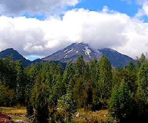 Parcela 5.000m Puerto Varas - Bosque Nativo y Río