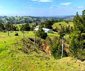 15,07 hectáreas, Yumbel sector El Fuerte