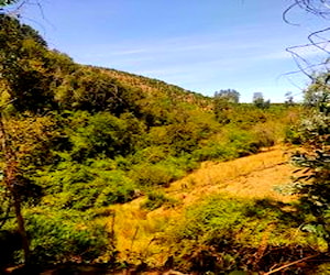 Parcela en Gorbea 2 hectáreas