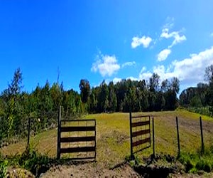 Parcela Avellanos de Trapen